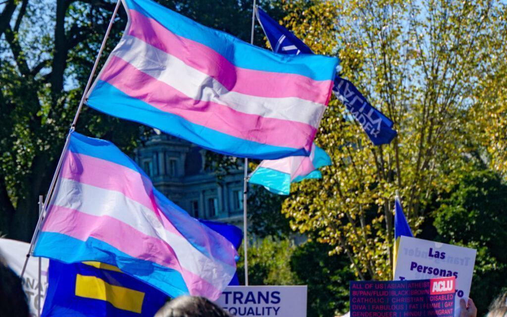Orgullo y prejuicio: ser trans en Argentina
